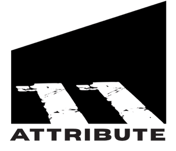 Eleven Attribute Limited